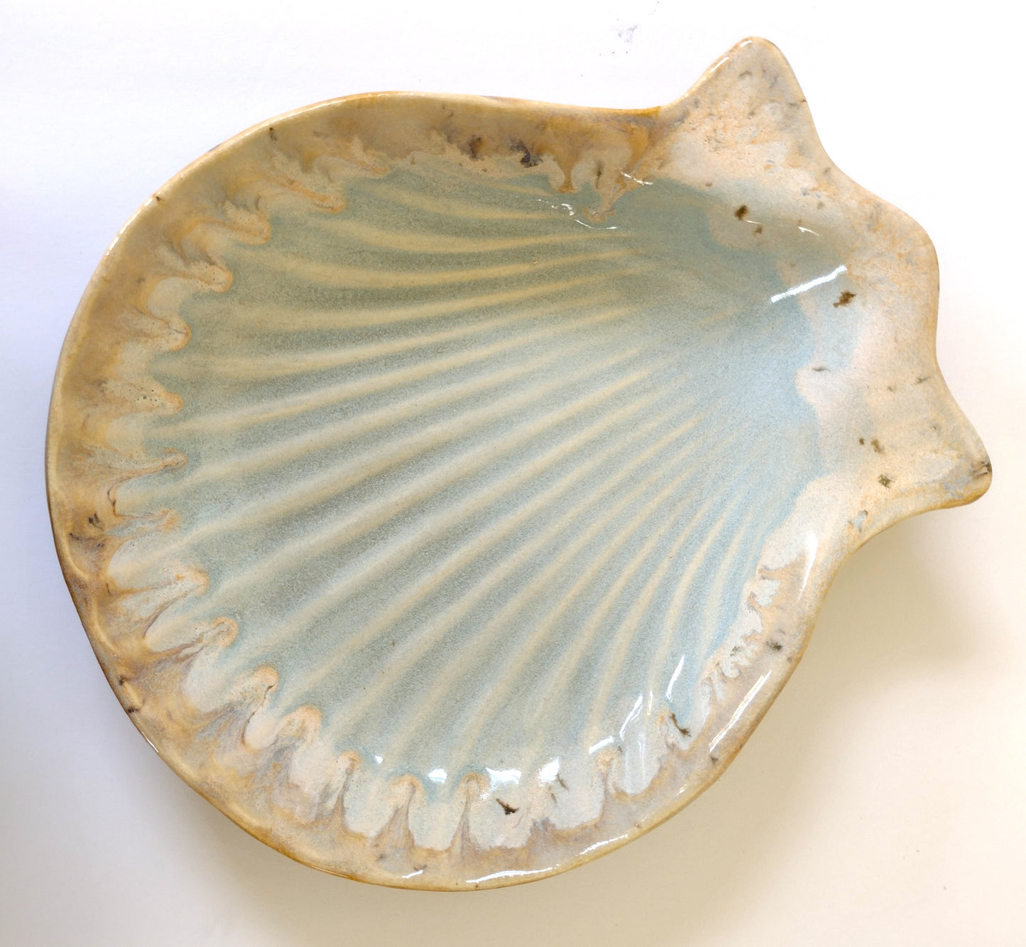 Shell Salad Bowl