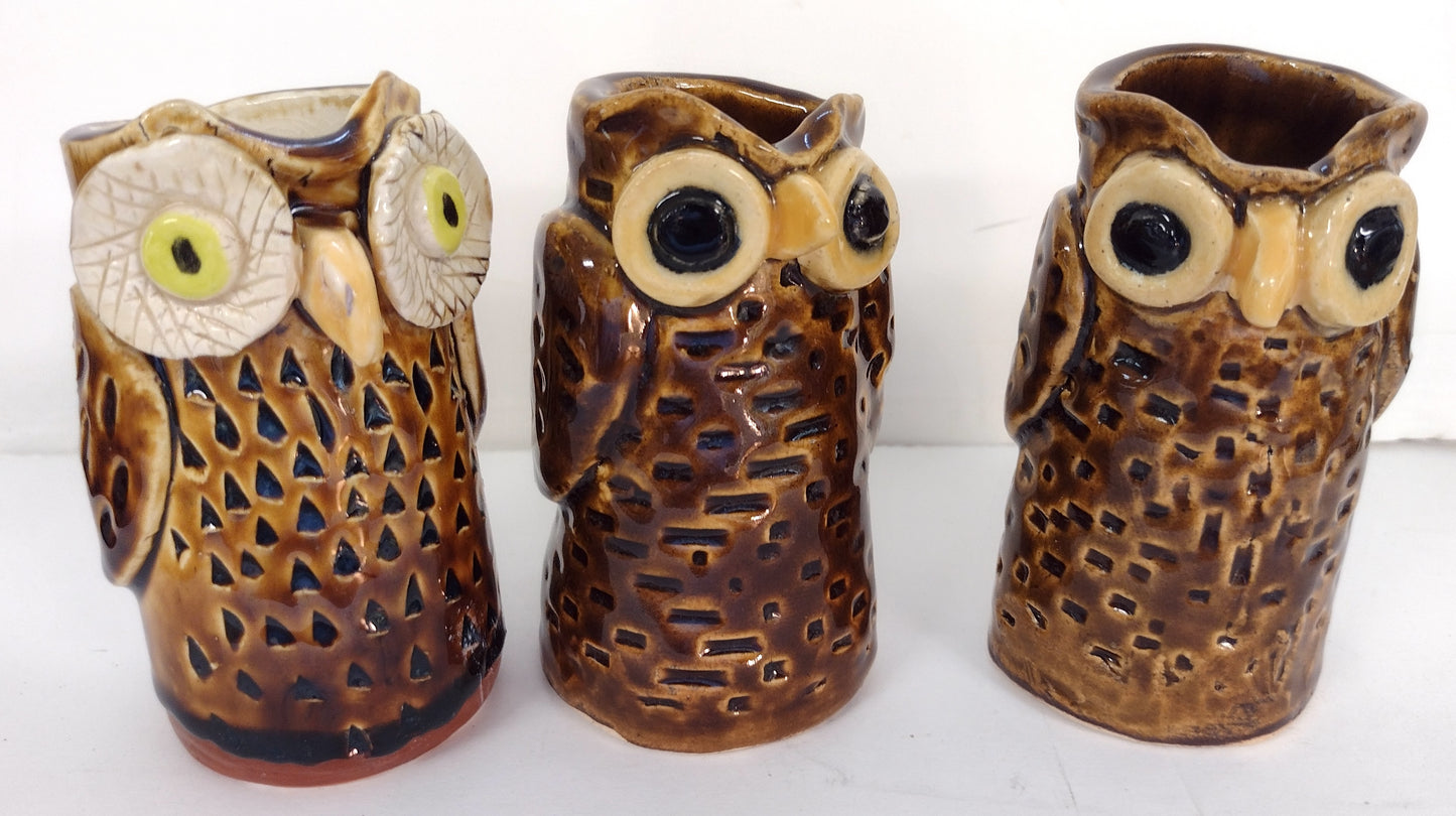 Owlet